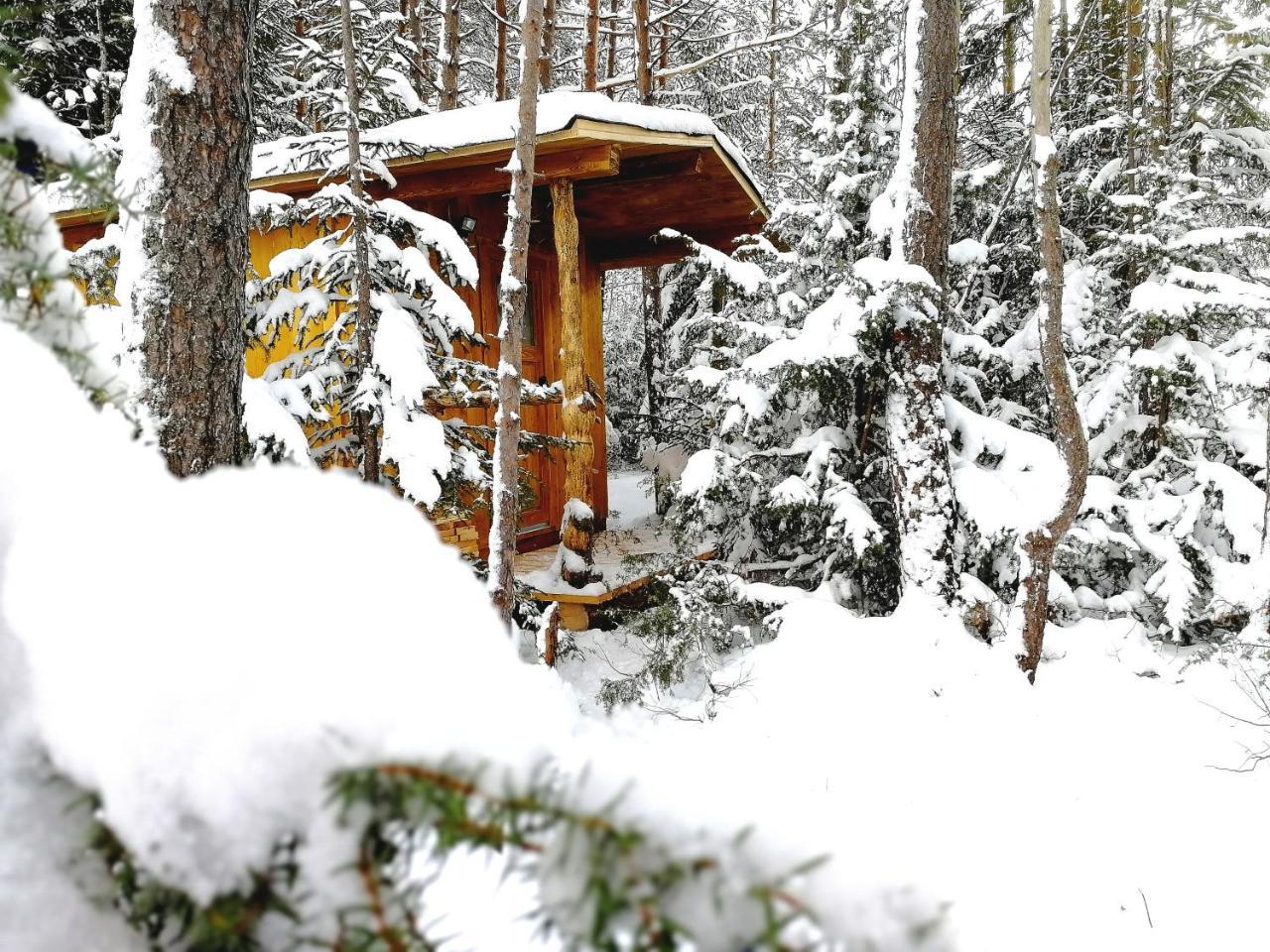 Camping Lechtal Vorderhornbach Екстер'єр фото